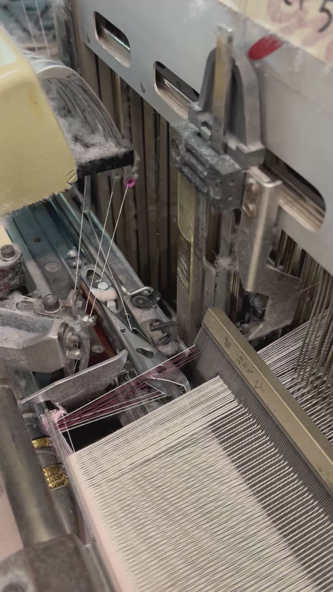 Gabardine Wanderer Pants - Bicolor