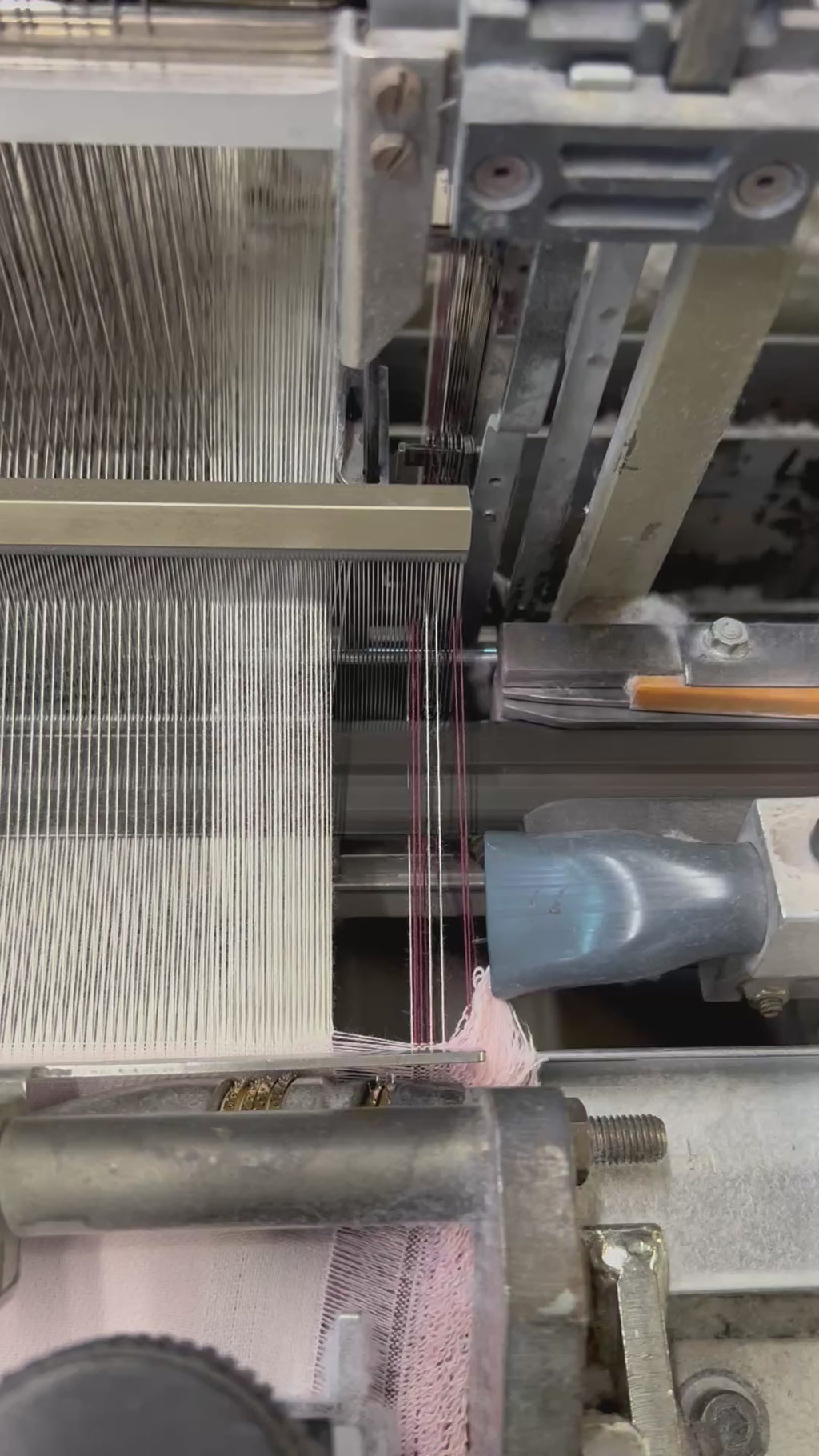 Gabardine Wanderer Pants - Bicolor